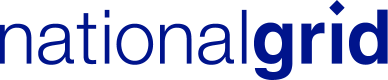 National Mesh Logo